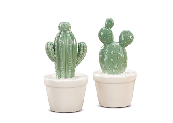 CACTUS CERAM.C/VASO 8*15CM