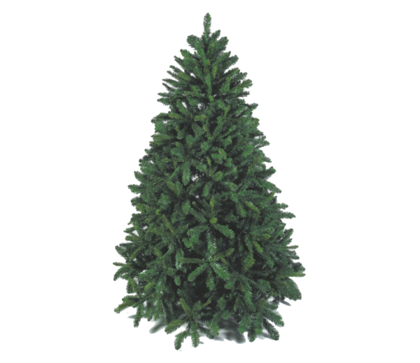 ALBERO PINO TOP 240CM